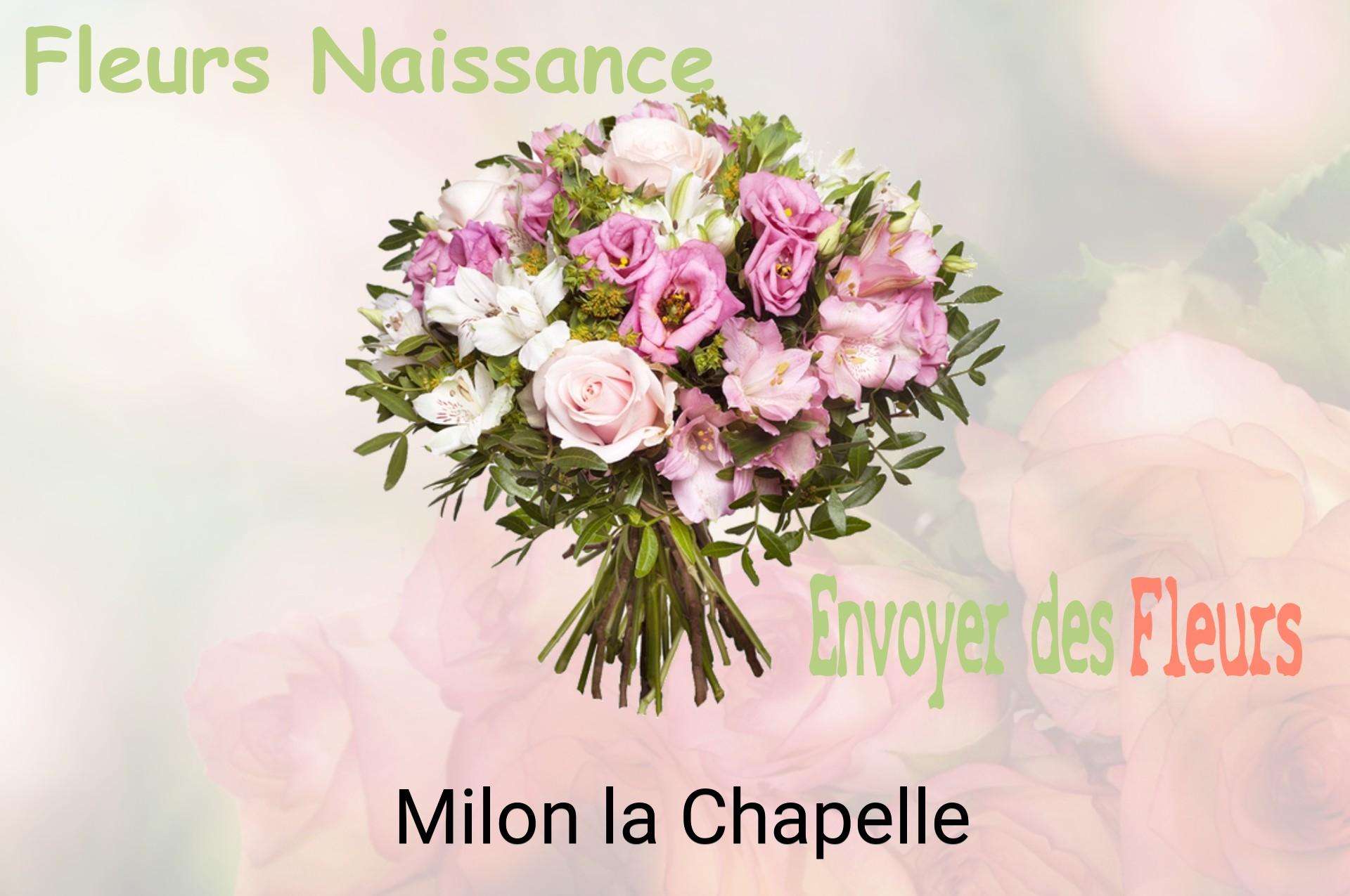 Bouquet de fleurs de naissance livré à Milon-la-Chapelle
